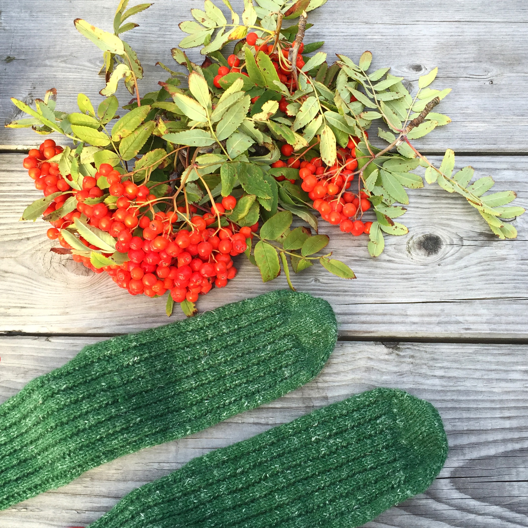 rowanberry