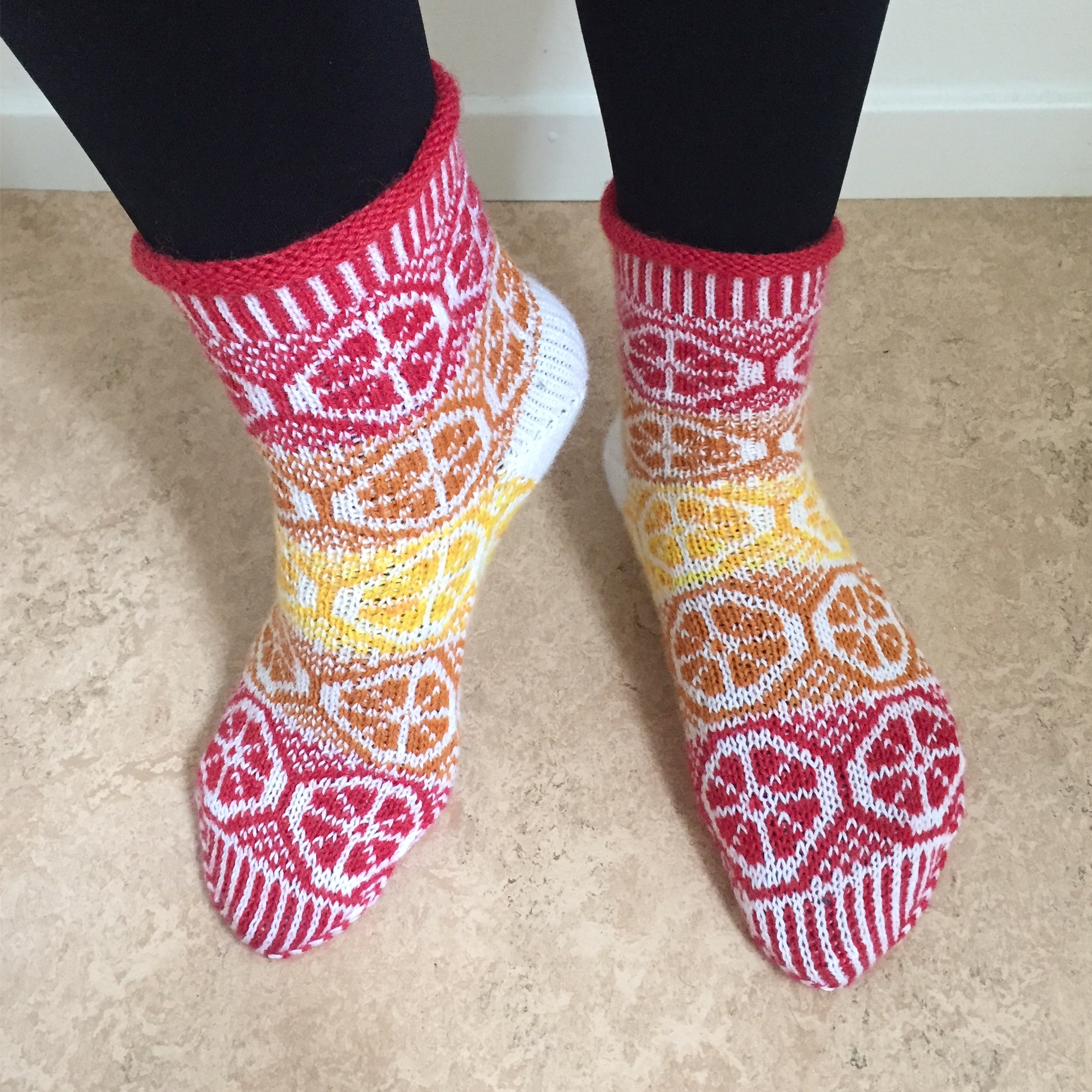 citrus sockor